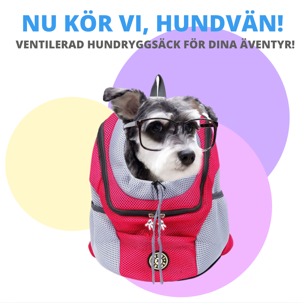 PawGo™ | Enkel, modern och perfekt för äventyr med din hund